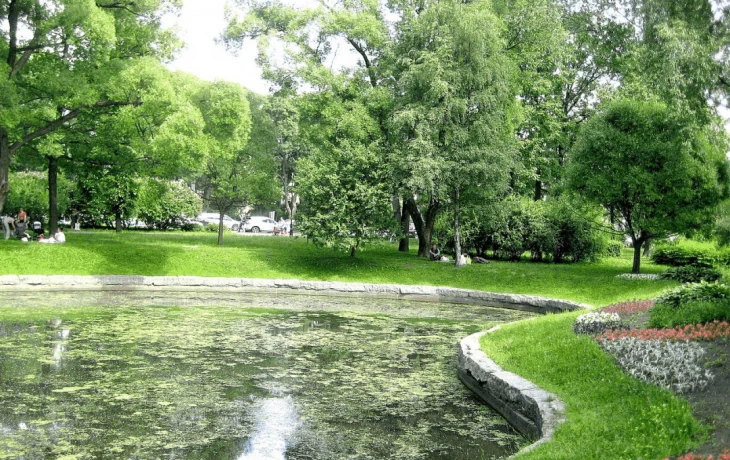 Александровский парк Александровский парк